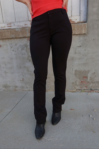 JAG Alayne Dress Pants